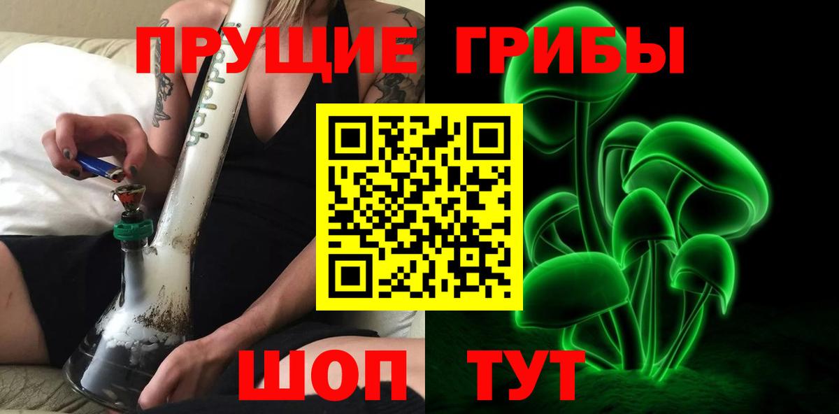Псилоцибиновые грибы GOLDEN TEACHER  Вход с VPN  Галлюциногенные грибы Psilocybine cubensis  Славгород 